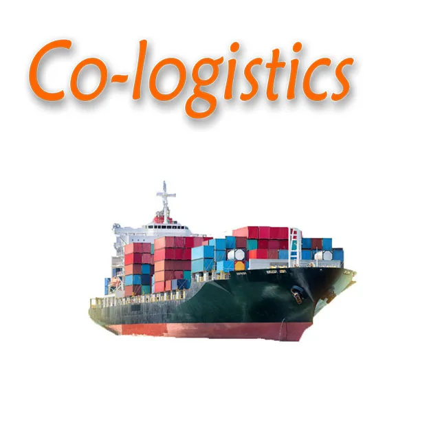 DDP freight forwarder International sea shipping agent door to door from China to USA Greeley