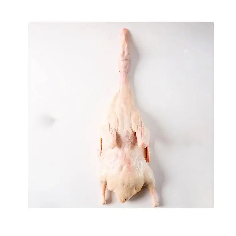 100% натуральная и безопасная свежая утка мясо белая полосатая утка