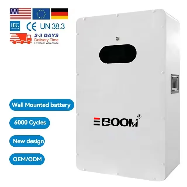 51.2 100Ah 200Ah Household Energy Storage System Lifepo4 Lithium-Ion Batteries 5kWh 10kWh ODM Protection 15A Built-in Boats