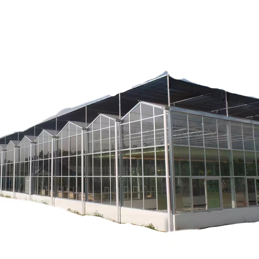 Heavy duty garden glass metal aluminum frame outdoor glasshouse kit luxury prefab winter plant green house