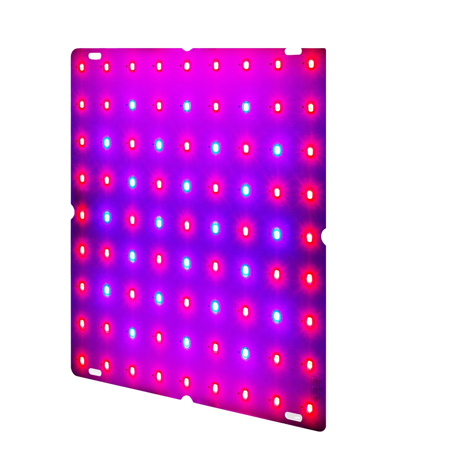 169LED plant grow light red blue purple light 50W full spectrum grow lamp for flower potted lighting chandelier