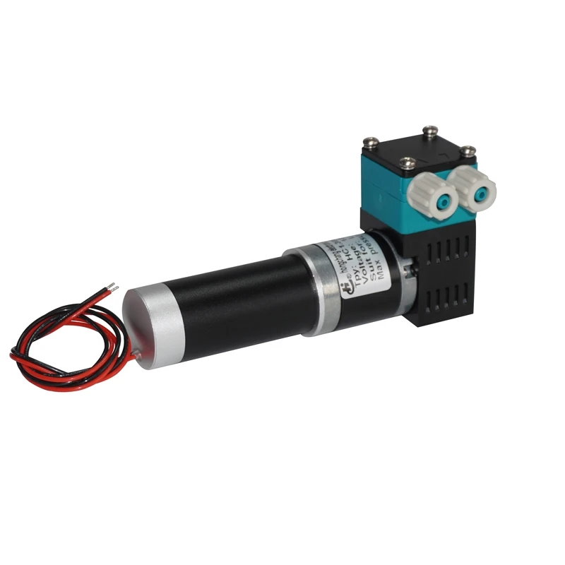 Portable Miniature Diaphragm Water Pump 24V High Efficiency Spa Laboratory Chemical Pump Good Chemical Resistance HC 1.30DCB.M