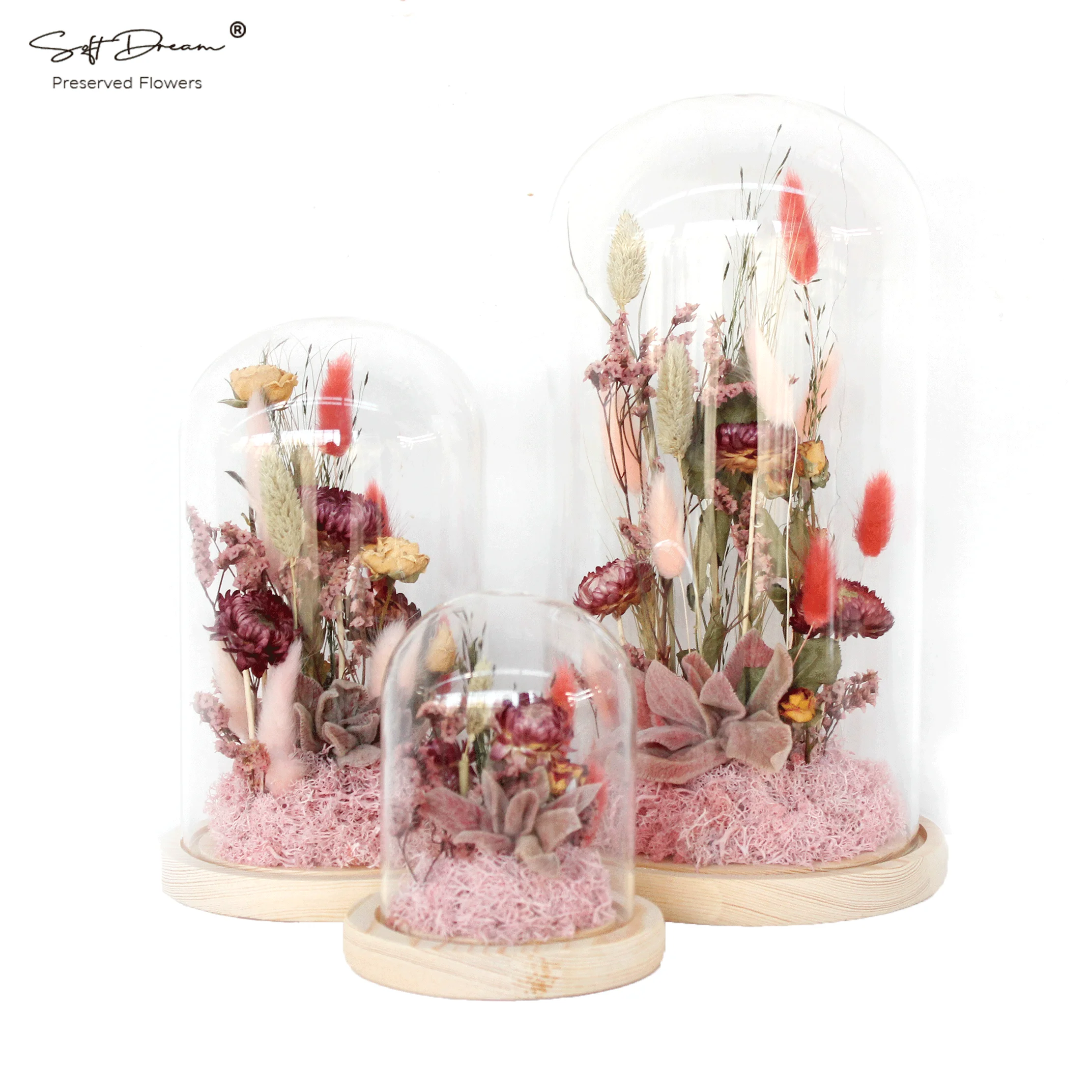 Soft Dream Dried Flowers in Glass: Chic Home Decor & Holiday Gift with Wheat Chrysanthemums and Reindeer Moss