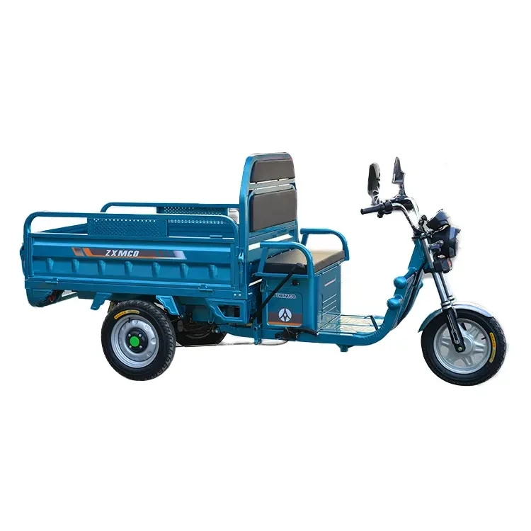 Powerfull 800W/1000W/1200W Tricycle Adult Electric Cargo Bike Trikes  Motored electric tricycle cargo Open