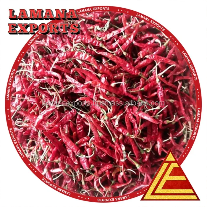 Guntur Dry Red Chilli S17 Teja with Stem Indian Chilli Premium Quality for Thailand