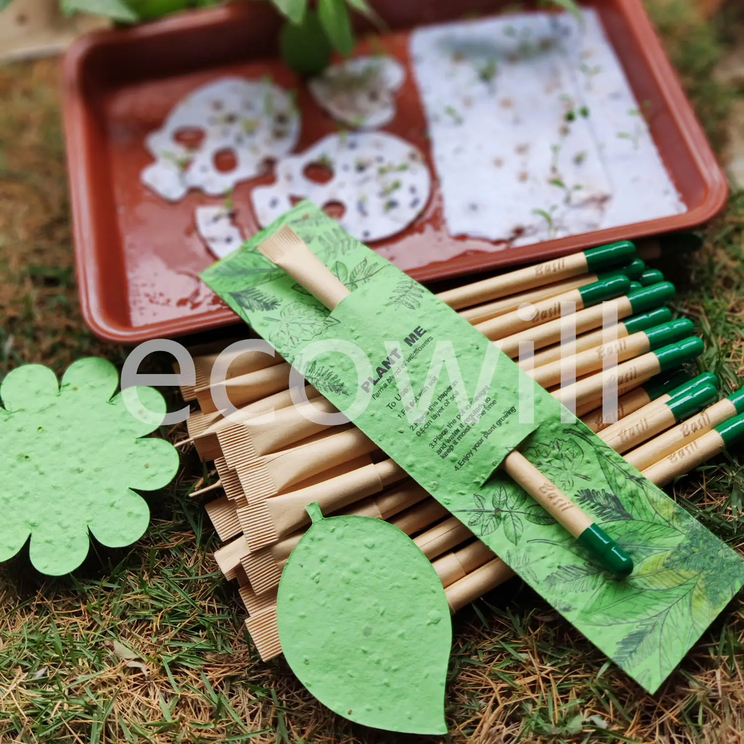 
Поздравительная открытка с днем рождения с растительным глаголом семена вегетарианских цветов 