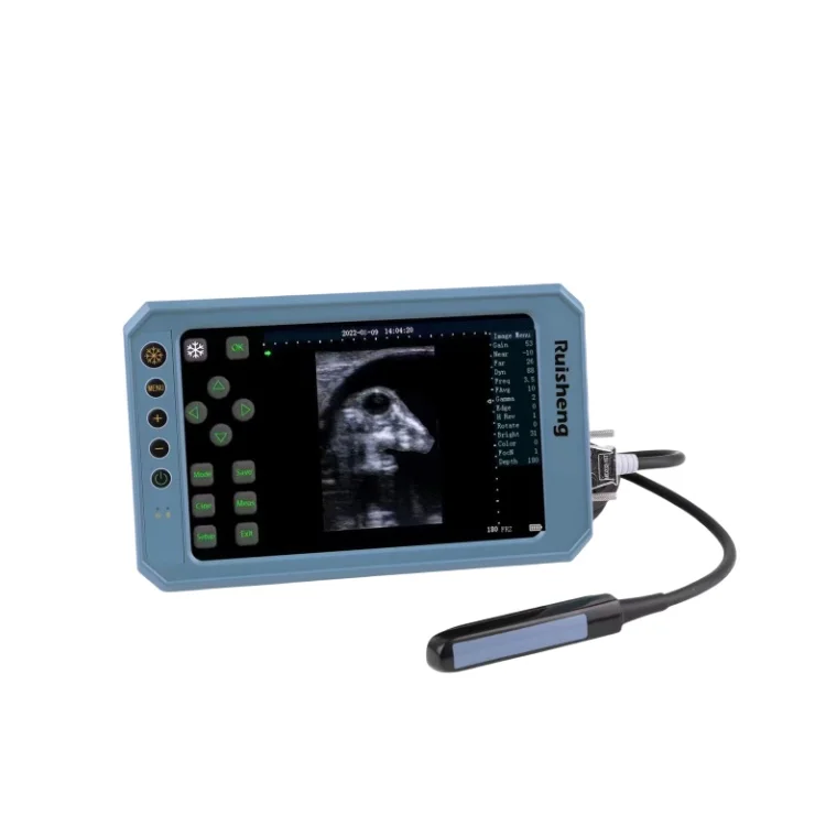 Ruisheng T6 portable ultrasound for animal color cattle handheld scanner ultrasound veterinary