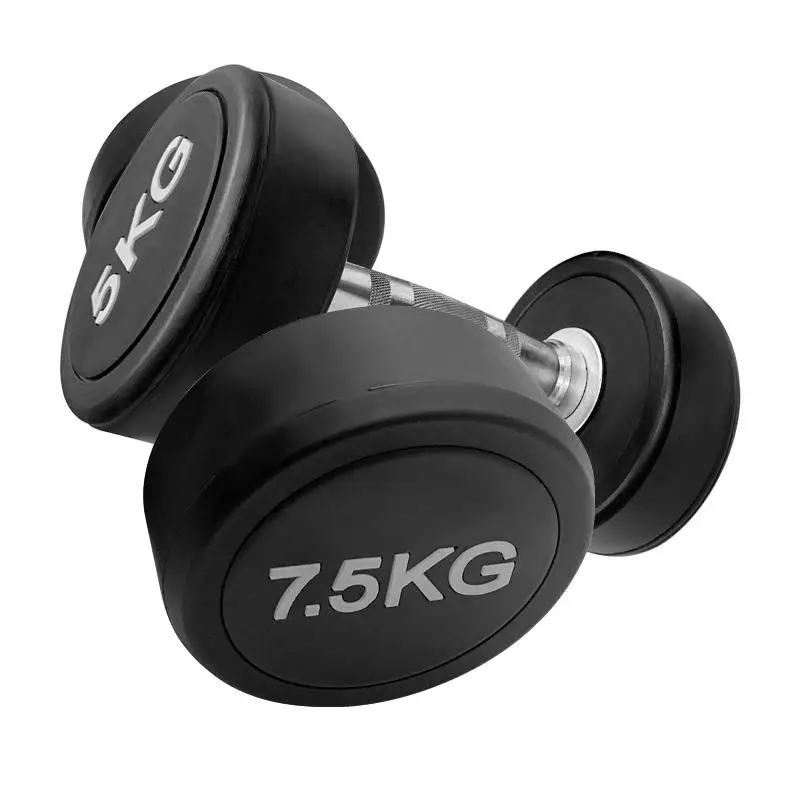 Gym Equipment Weightlifting Cast Iron Round Head Rubber Dumbbell Custom Bodybuilding Dumbbell