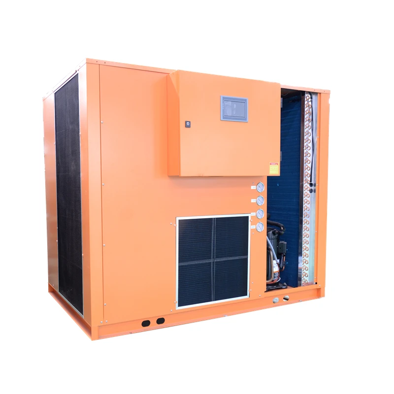 
Hot wind circulating dehydrating meat fish dehumidifier 