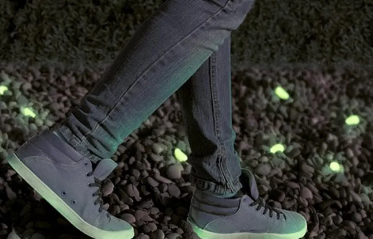 glow in the dark garden pebbles