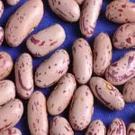 Новый урожай, горячая Распродажа, хорошее качество, легкая зернистая фасоль