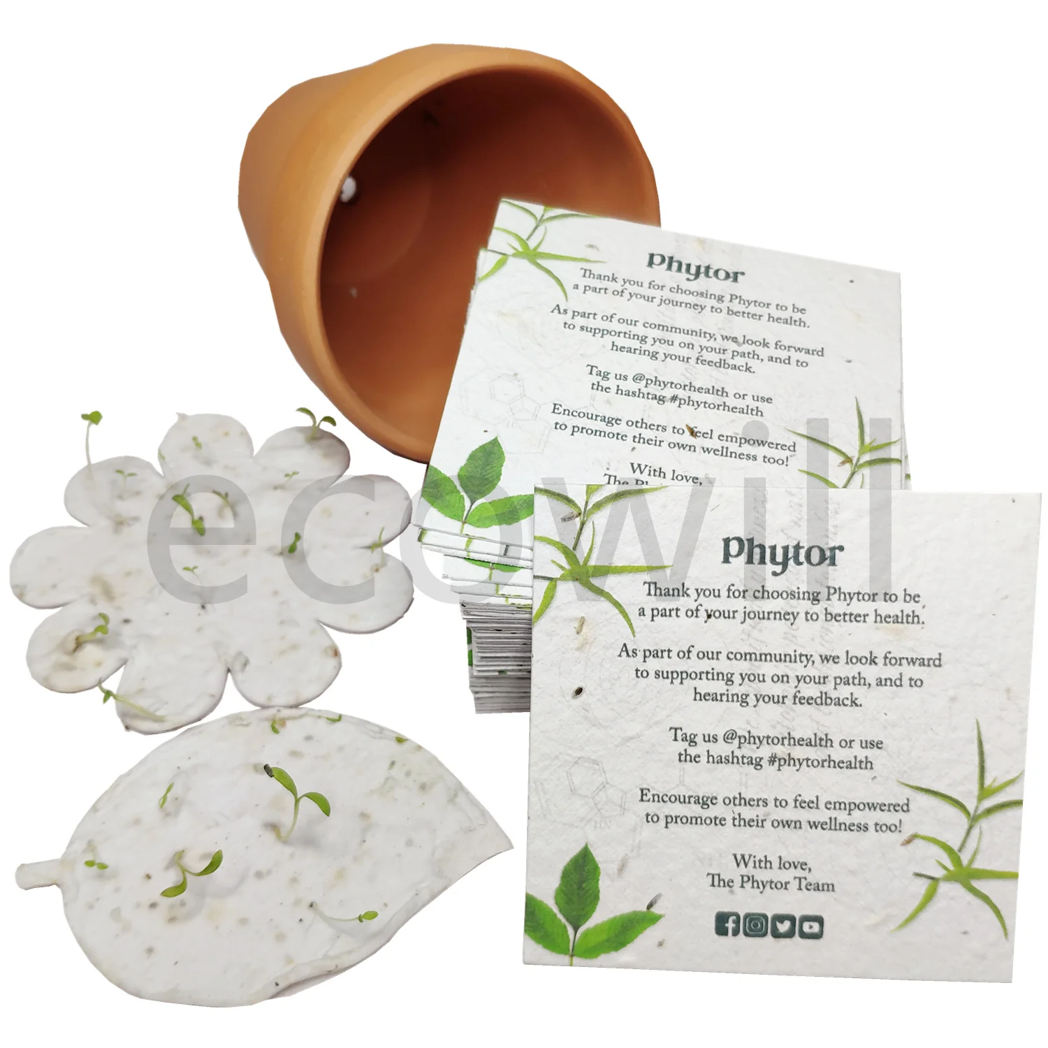 Ecowill 100% Handmade Biodegradable  Plantable Wildflower Flower  Seed  Paper Greeting Card