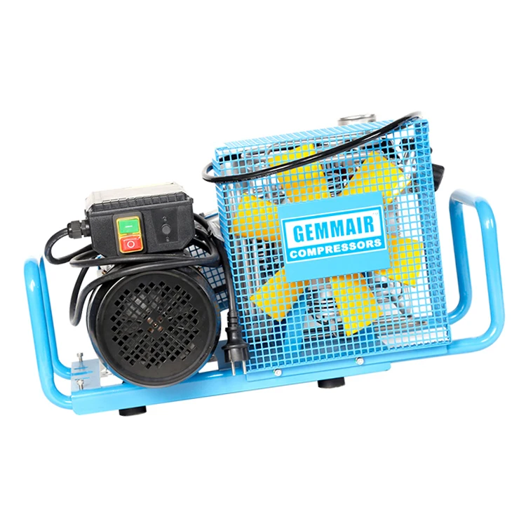 
Power Mini Agricultural Irrigation Pulse Water Gun Air Pump 