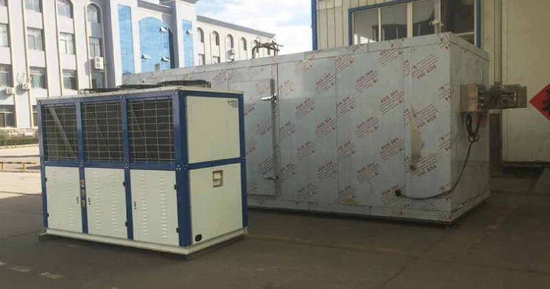 Iqf Tunnel Freezer Blast Freezers For Sale Freezing Machine Machinery For Frozen Potato Instant Freeze Machine