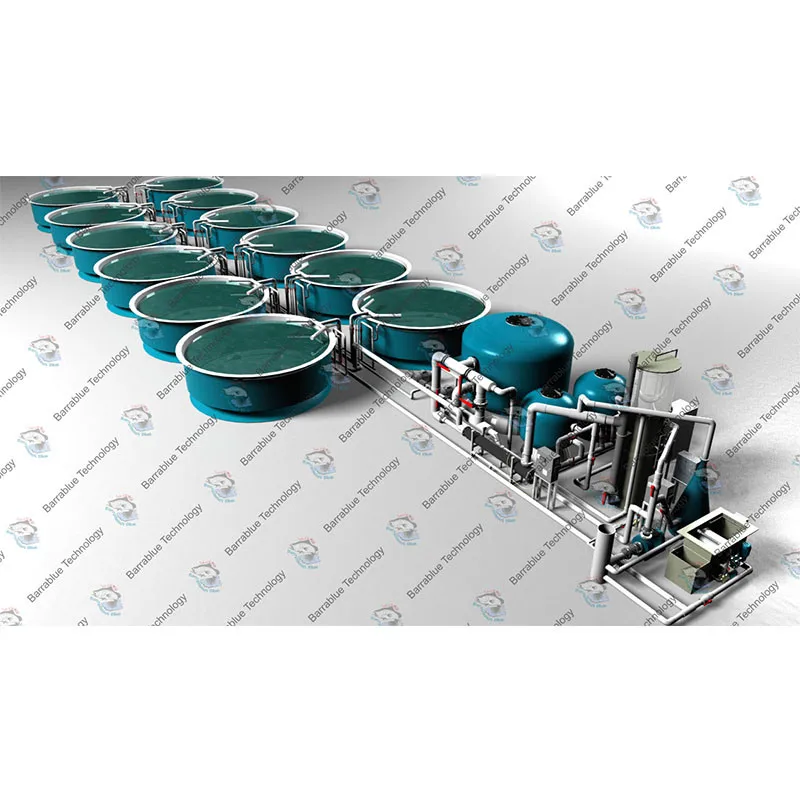 Recirculating Aquaculture RAS System Ras Fish Farm Filter System