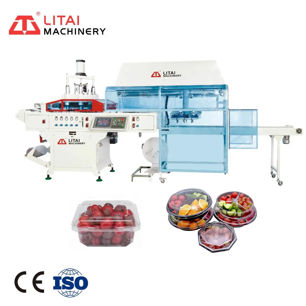Vacuum Plastic Thermoforming Machine For Fruit Tray