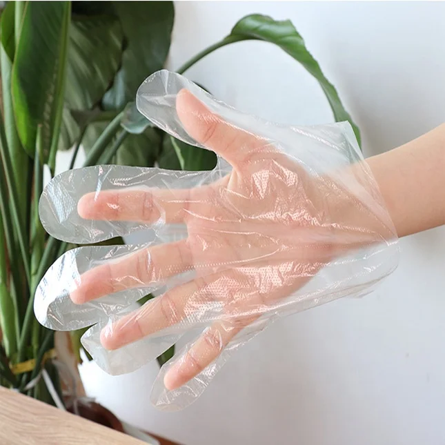 China Factory Disposable Plastic Gloves Manufacture PE Glove For Food Handing