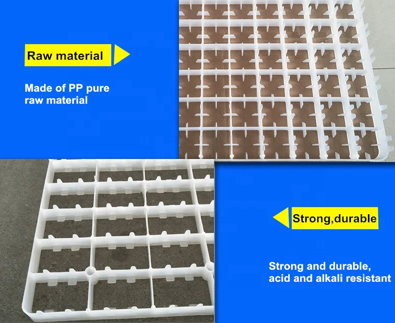 63pcs duck egg tray for incubator spare parts plastic egg tray for incubator turkey egg tray