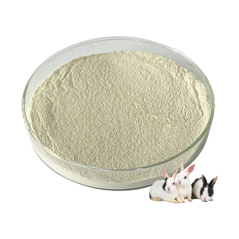 xylanase enzyme 200000 additive manufacturer