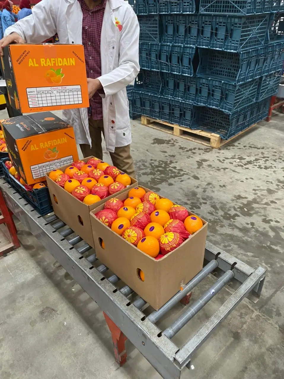 Orange 100% Natural Egypt Fresh Orange With High-quality Pulp Oranges Fresh Fruit For Sale