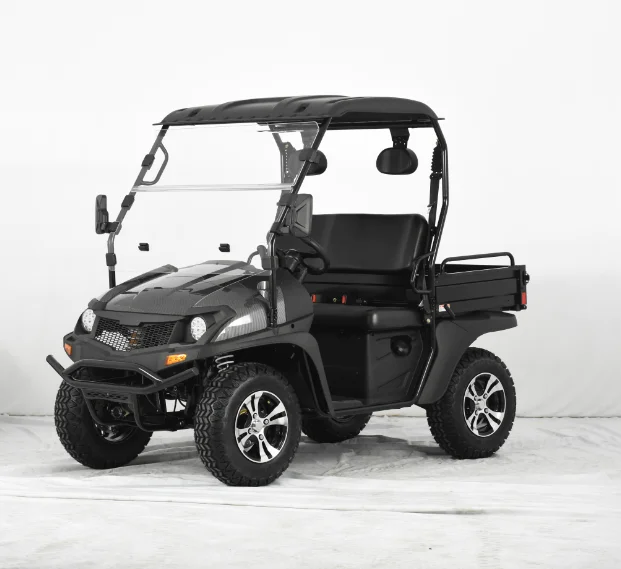 200cc Golf Cart UTV with EPA