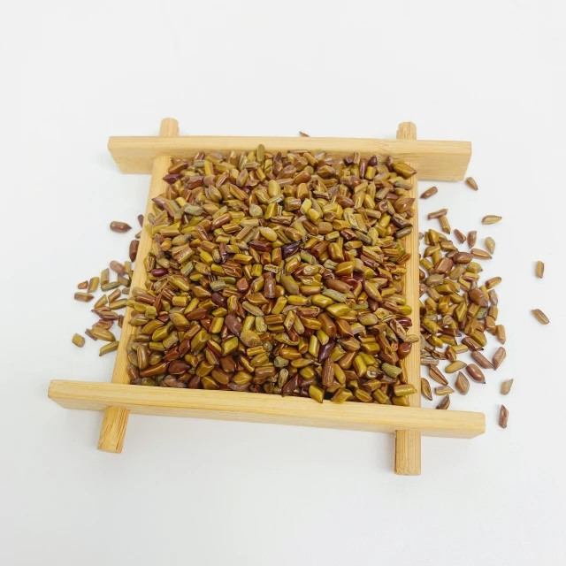 Big Sale Organic Cassia Seed Tea for Weight Loss Reduce Blood Fat Bulk Packaging