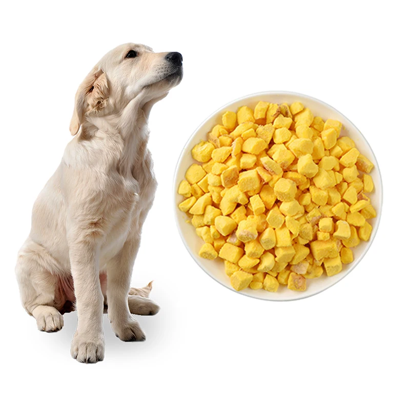 Низкий минимальный заказ замороженная куриная грудка лакомство для собак и кошек еда домашних животных фирменная торговая марка OEM