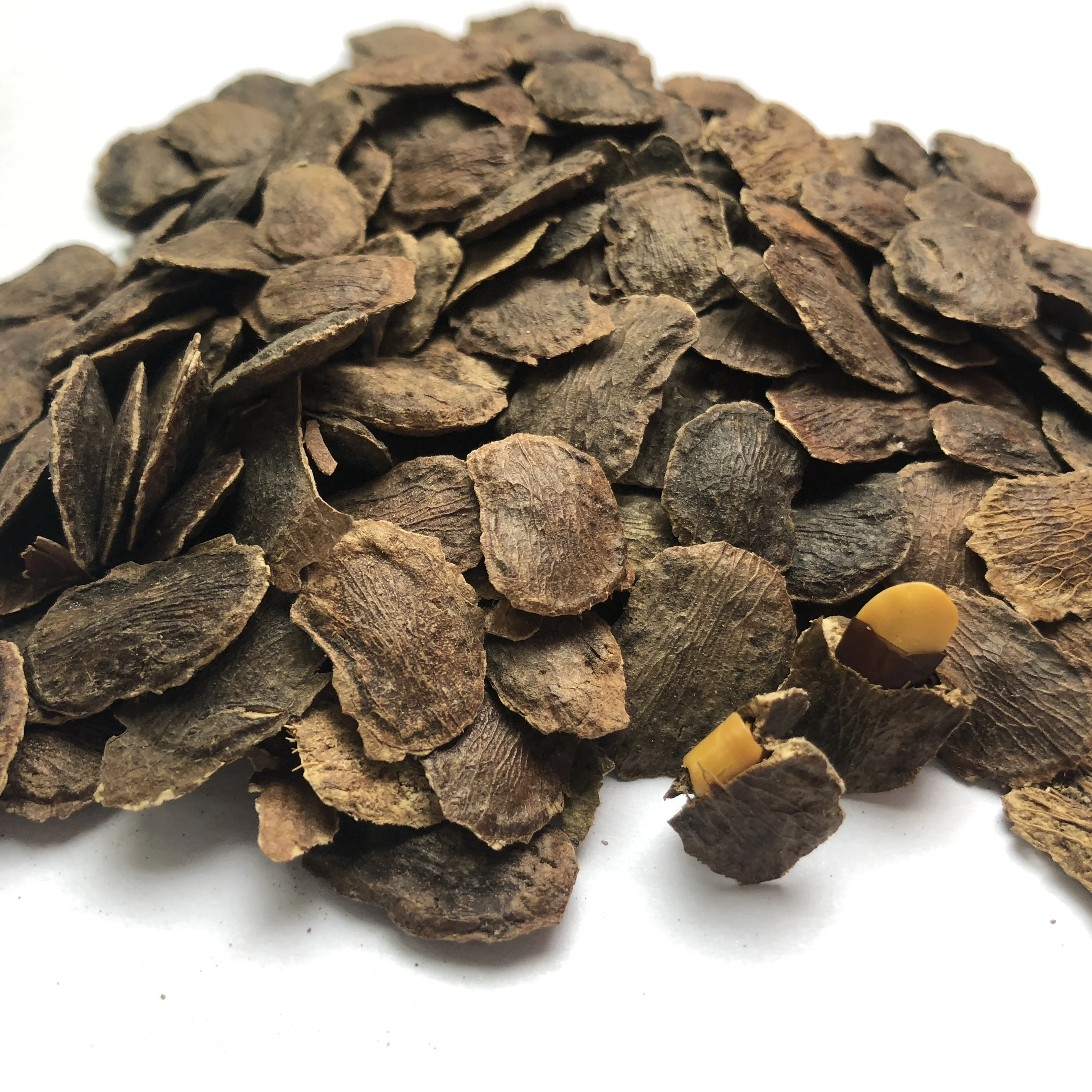 
S345 Supply Hai Nan Dalbergia Odorifera Seeds For Planting 