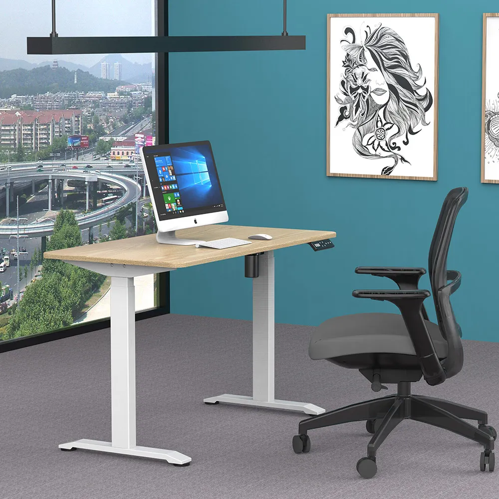 Ergonomics Professional Electric Lift Office Elevating Stand Up Desk Adjustable Height Bureau Debout