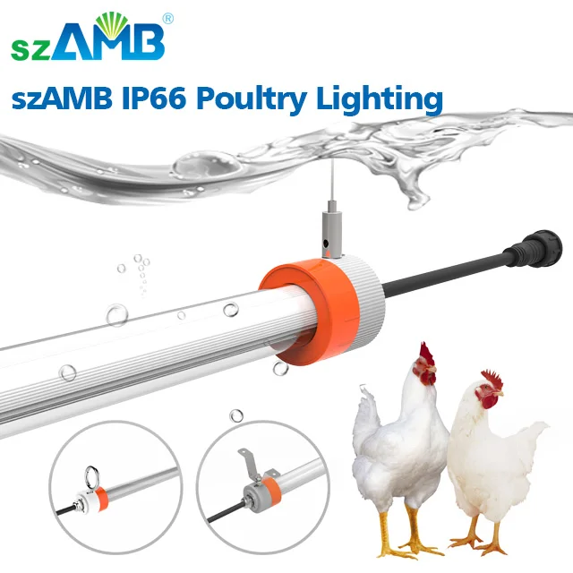 IP66 Waterpoof Dimming Livestock Light or Poultry Farm LED Tube Lighting With 5 Years Warranty
