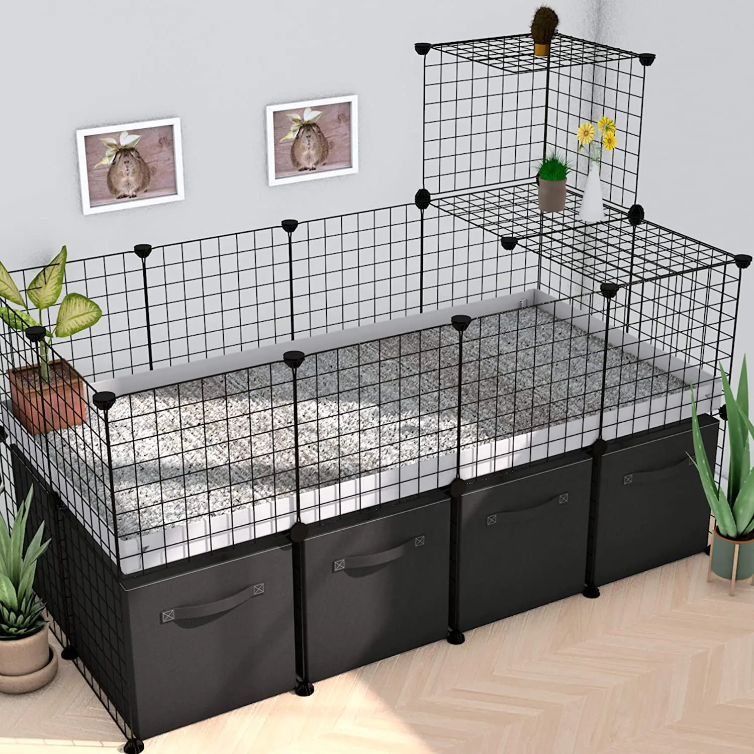 guinea pig house