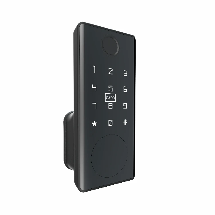 JIXIN Smart Deadbolt Lock Smart Lock Combo Fingerprint Smart Lock