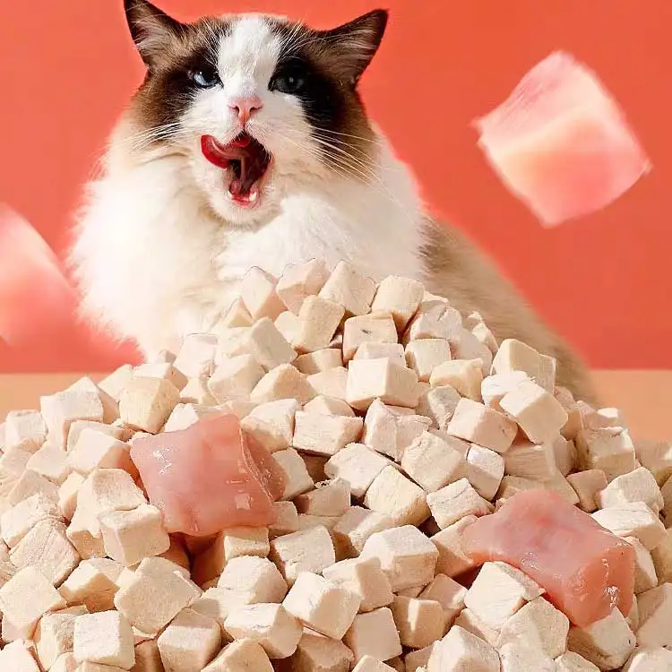 Fresh Healthy freeze dried cat treats Chicken Breast Snacks cat food chicken dog pet food cat snack treats
