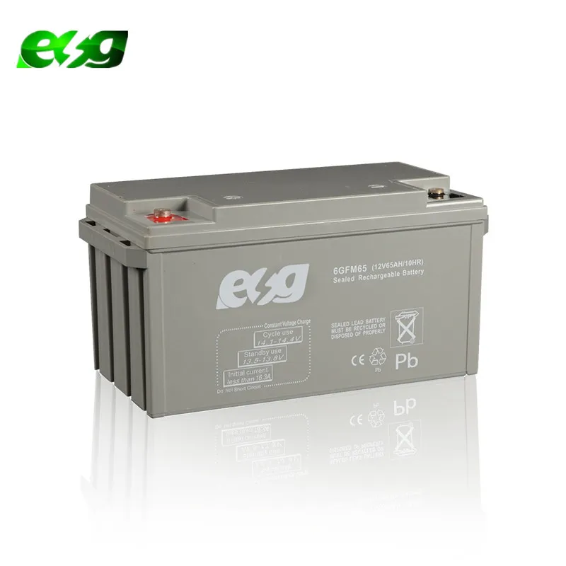 ESG High rate UPS backup Valve Regulated Lead Acid (VRLA) batteries 12V 65AH maintenance free battery 60AH