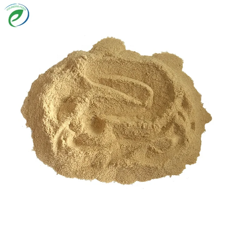 Poultry chicken feeds yeast powder with good price