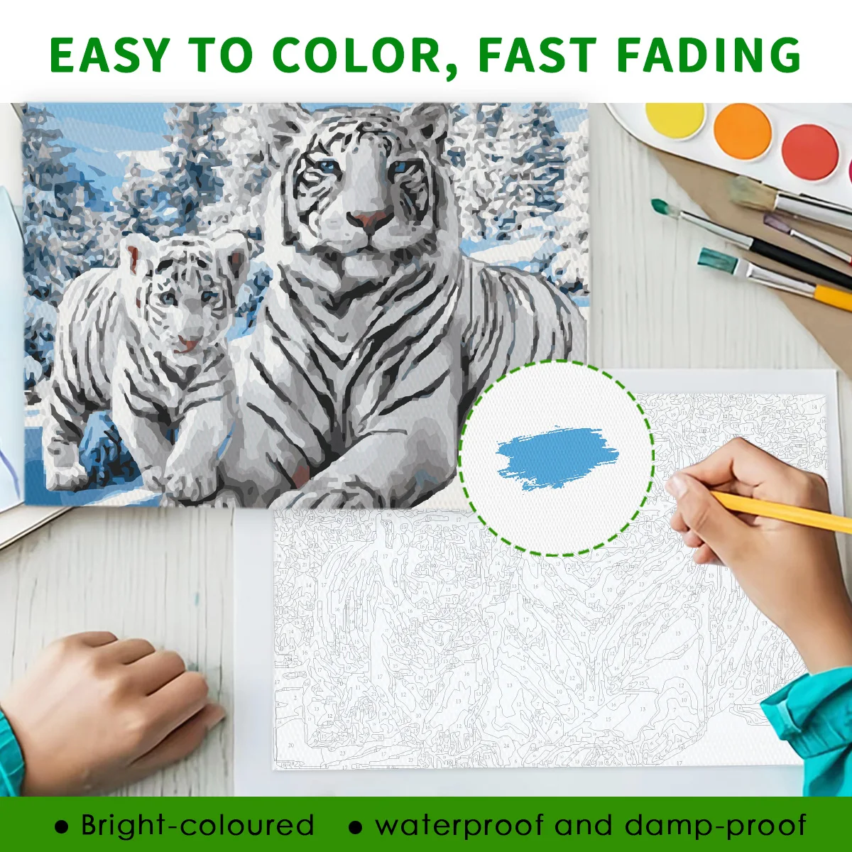 Factory Paint by Numbers Kit for Adults on Canvas with Paintbrush Color Acrylic DIY Drawing Premium Quality Colorwork Paintwork