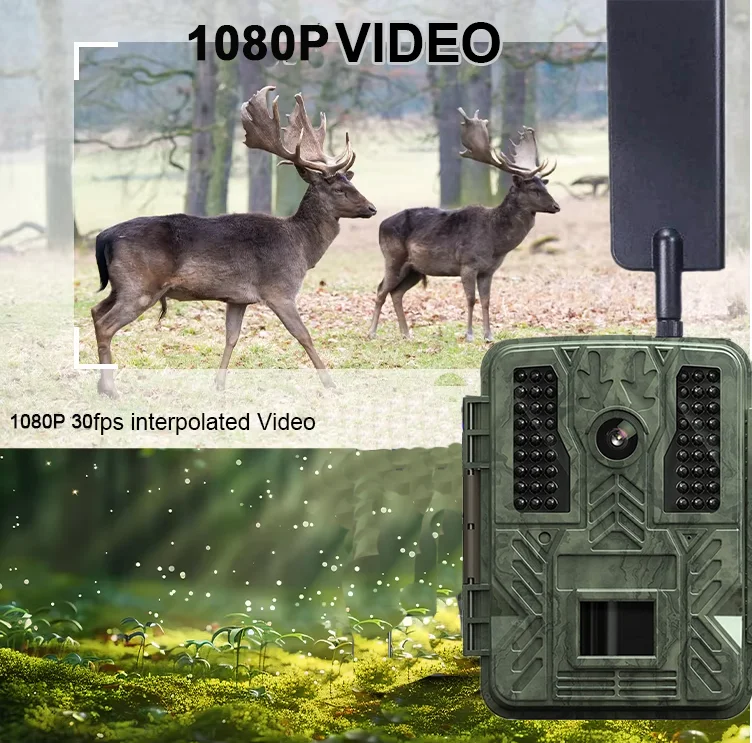 Wild Camera 1080p Trail Camera App Cloud with IP67 Waterproof for Outdoor Animal Hunting Wild Camera with Night Vision