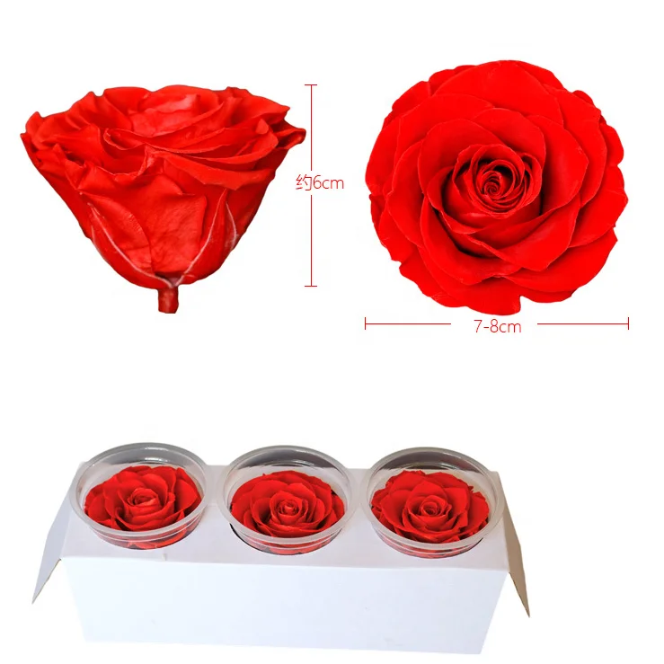 Highly competitive price for preserved rose bud 7-8cm rose head  long lasting roses