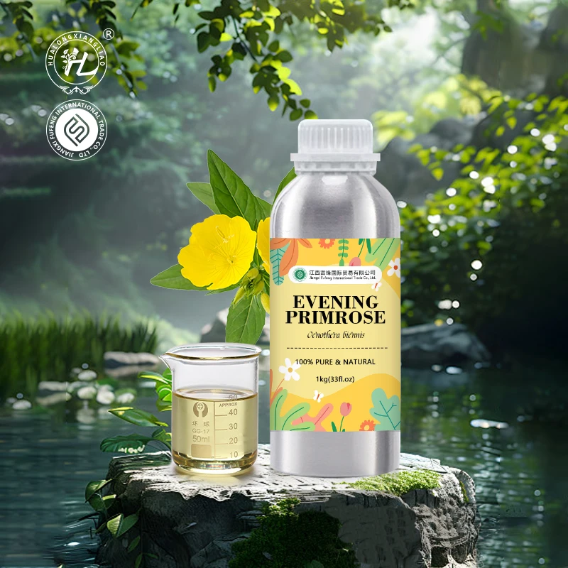 Bulk Evening Primrose Oil Organic - 100% Pure Natural Oenothera Biennis Seed Cold Pressed | Wholesale Price, Bulk 1Kg