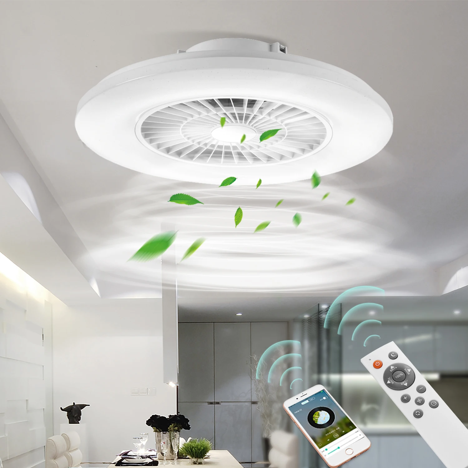 Modern Remote Control Decorative Lighting Ceiling Fan With LED Light