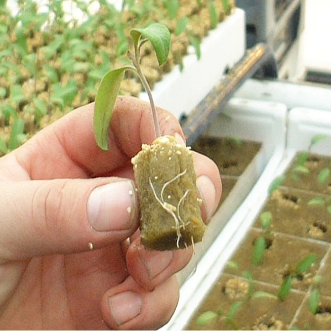 25x25x40mm agriculture rock wool for hydroponic plants seedling nursery