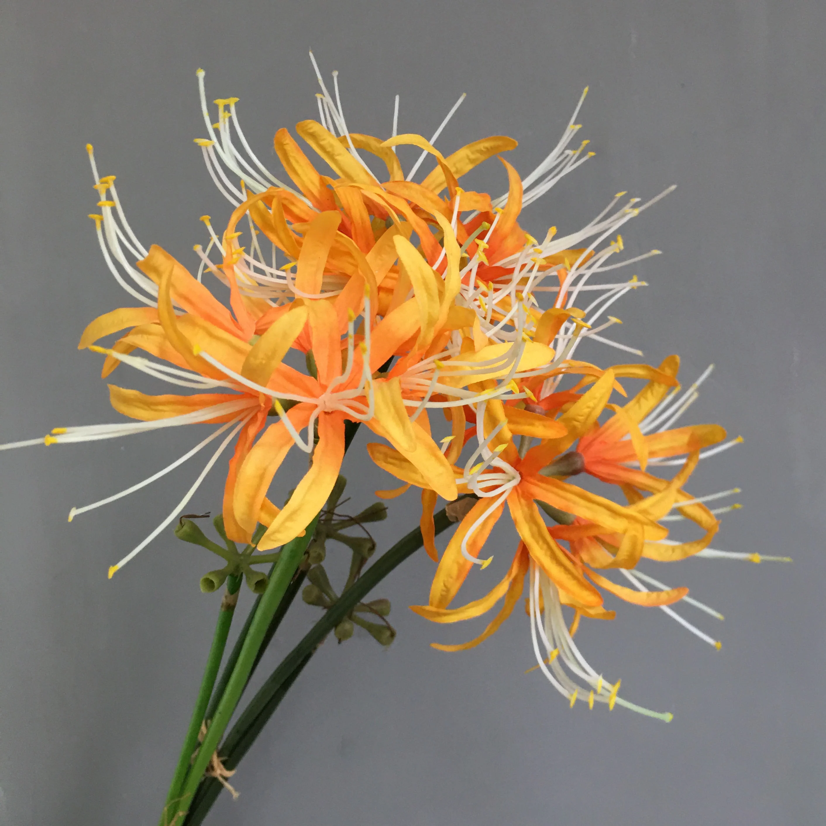 T-BAH Artificial Stunning Lycorisradiata Flower Simulation Equinox Flower For Porch Window Vase Decor Red Spider Lily