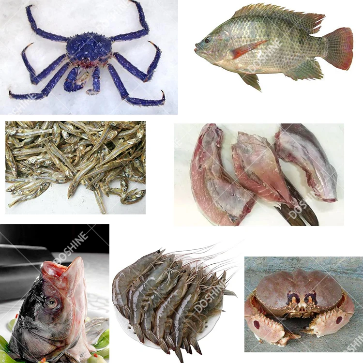 fish flour plant Tuna fish waste meal processing machine/compact fishmeal production line/shrimp heads powder making machine