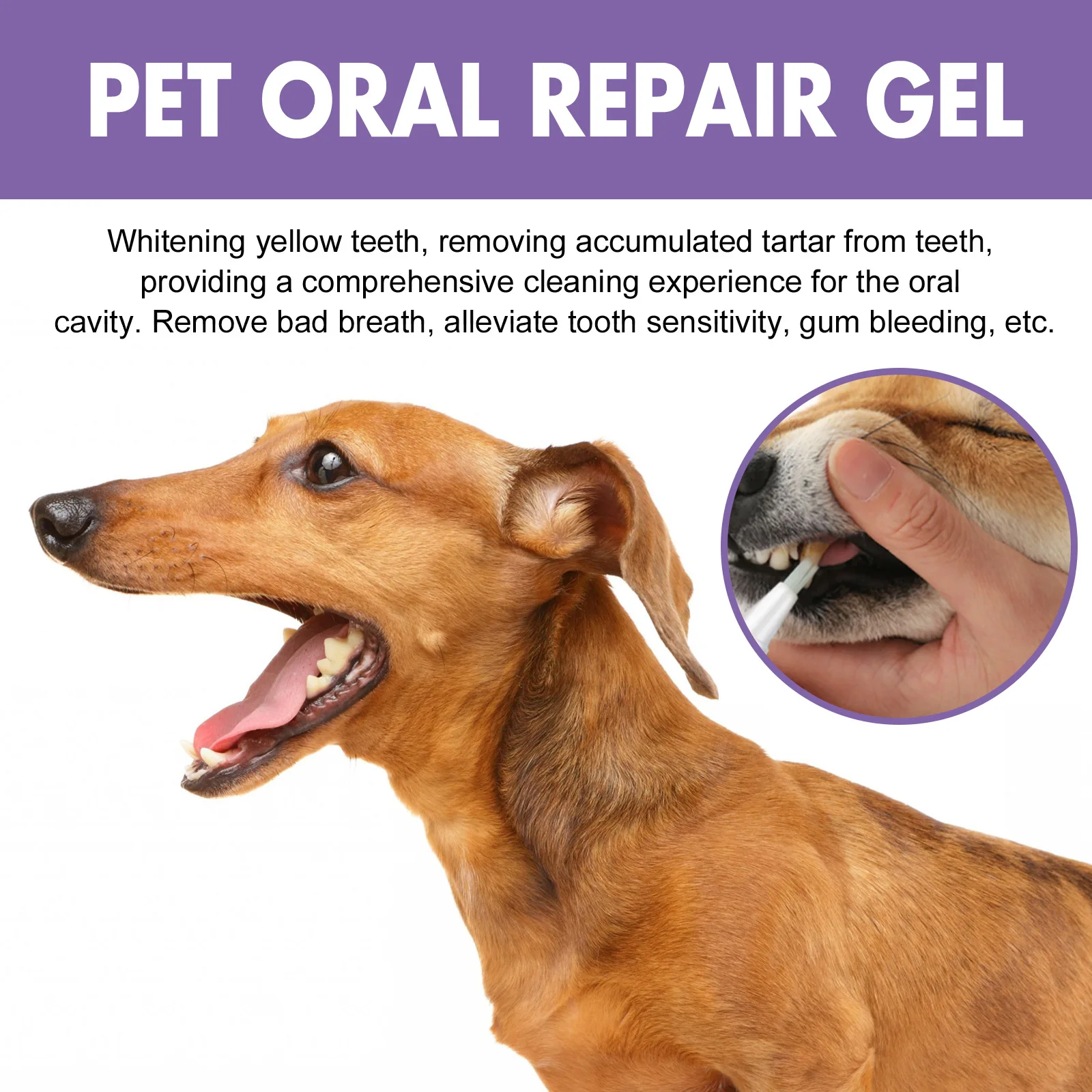 2024 Hot Pet Oral Repair Gel Deep Cleaning Dog Cat Teeth Stain Oral Care