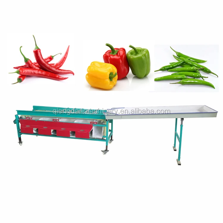 Vegetable/fruit sorting machine Olive Jujube Date palm Plum lemon Strawberry Blueberry Shame Areca Mangosteen grading machine