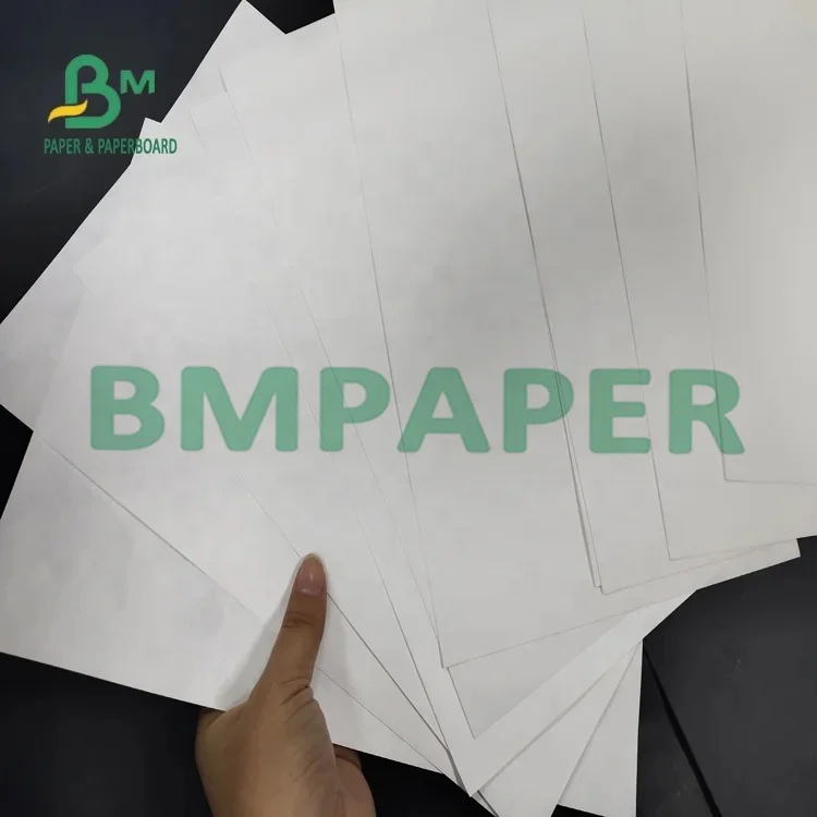 787mm Width Coated White 1025D Tyvek Paper  For HP Cannon Inkjet Printer