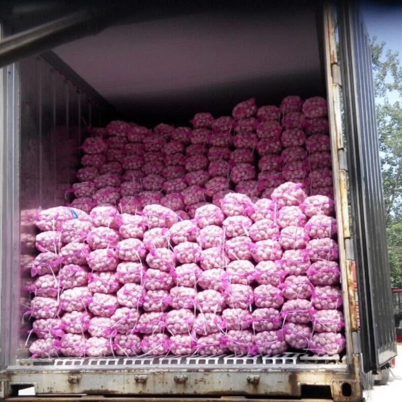 Factory Direct Hot Sale Pure White Normal White Fresh Garlic Normal Size 4.5 5.0 5.5 6.0cm