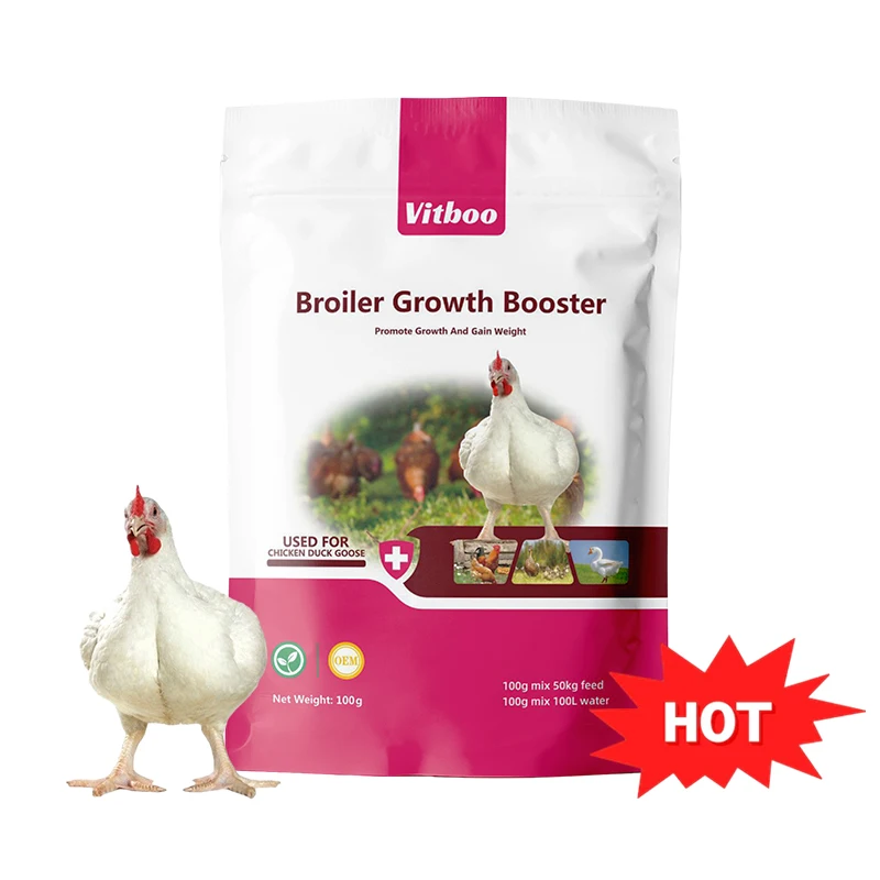 Poultry gain weight growth booster multivitamin premix mixed additives for broiler fattening Bacillus subtilis Lactobacilles