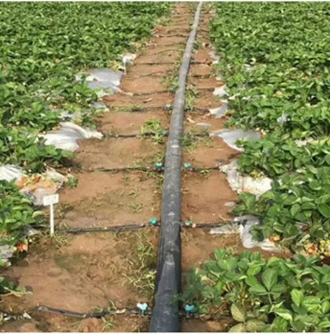 Lay Flat Hose Offtake Valve For Micro Drip Irrigation System