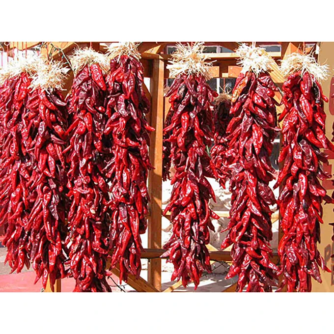 18 Months Shelf Life Seasoning Single Herbs Spices Best Selling Chili Paprika Dry Natural Red Pepper For Sale